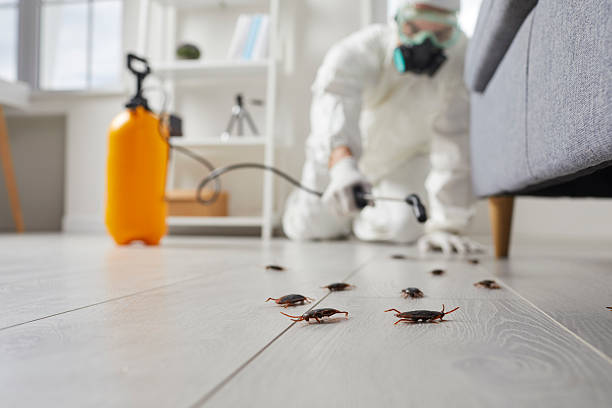 Trusted Termite Control service in Falls Creek, PA - Nex Pest Control