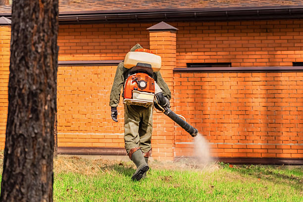 Trusted Ant Control service in Falls Creek, PA - Nex Pest Control